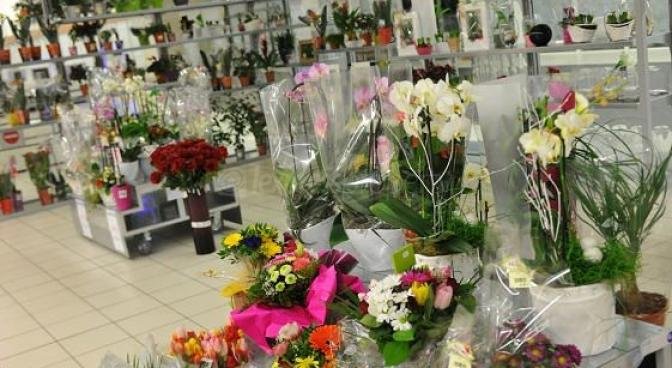 Fonds de commerce vente à Grand Bay, nord, île Maurice – LexpressProperty.com | 182803 | Ref01