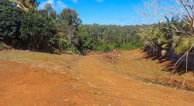 Agricultural land of 3720 m2 for sale in Ville Noire, south, Mauritius – LexpressProperty.com | 251497 | Ref01