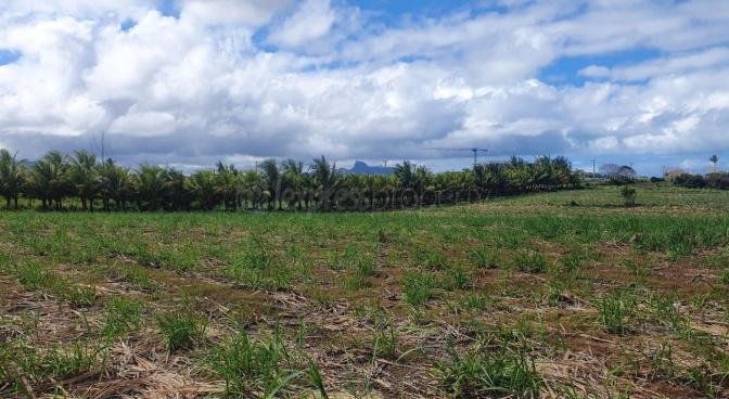 Terrain agricole de 14520 m2 en vente à Le Chaland, sud, île Maurice – LexpressProperty.com | 279845 | Ref01