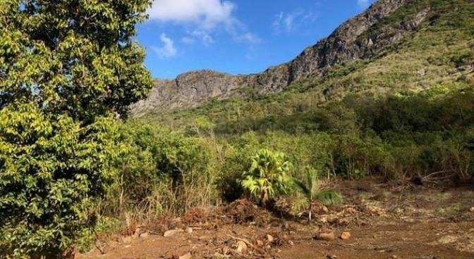 Agricultural land of 2195 m2 for sale in Moka, center, Mauritius – LexpressProperty.com | 288424 | Ref01