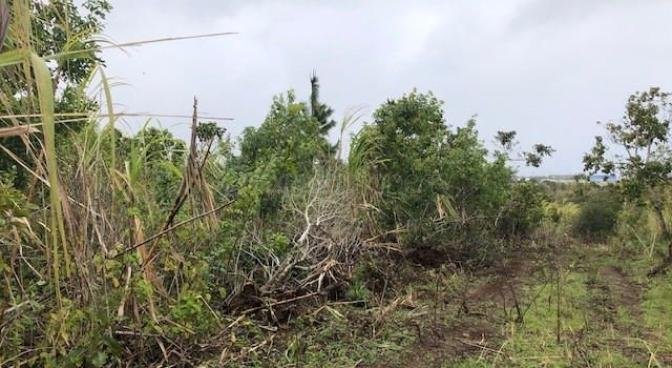 Agricultural land of 14097 m2 for sale in Phoenix, center, Mauritius – LexpressProperty.com | 299587 | Ref01