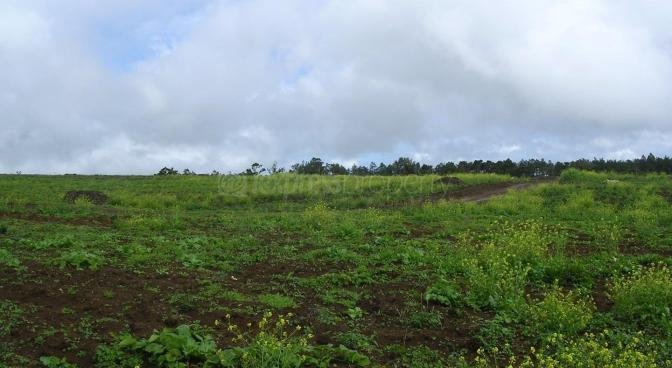 Terrain agricole de 4305 m2 en vente à Mare Longue, centre, île Maurice – LexpressProperty.com | 228287 | Ref01