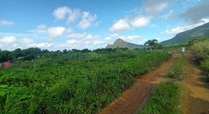 Terrain agricole de 1431 m2 en vente à St Pierre, centre, île Maurice – LexpressProperty.com | 390400 | Ref01