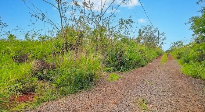 Terrain agricole de 2808 m2 en vente à Tombeau Bay, nord, île Maurice – LexpressProperty.com | 390809 | Ref01