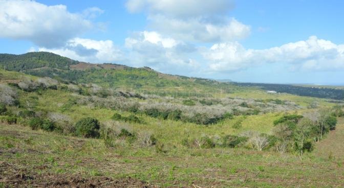 Property – LexpressProperty.com | 324480 | Ref01