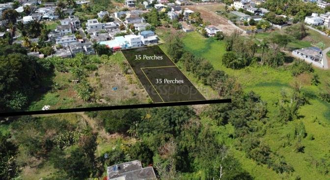 Property – LexpressProperty.com | 548637 | Ref01