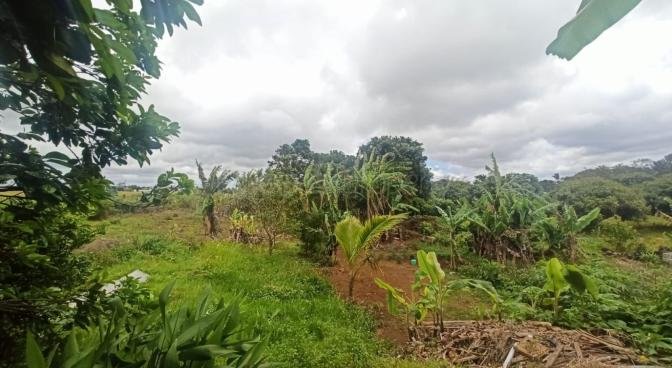 Terrain résidentiel de 1477 m2 en vente à St Julien, est, île Maurice – LexpressProperty.com | 556415 | Ref01