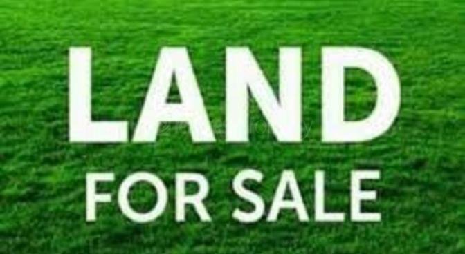 Terrain commercial de 4221 m2 en vente à Abercrombie, nord, île Maurice – LexpressProperty.com | 501469 | Ref01