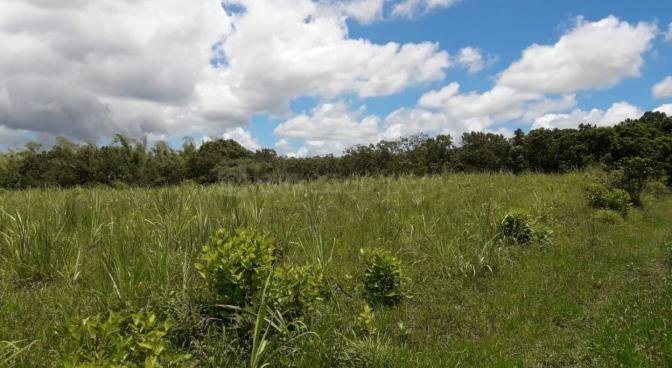 Agricultural land of 4220 m2 for sale in Valetta, center, Mauritius – LexpressProperty.com | 515981 | Ref01