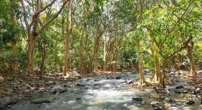Residential land of 29959 m2 for sale in Tamarin, west, Mauritius – LexpressProperty.com | 693925 | Ref01