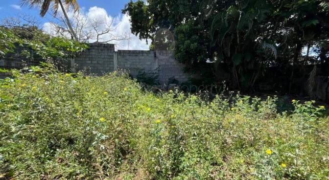 Residential land of 753 m2 for sale in Goodlands, north, Mauritius – LexpressProperty.com | 746446 | Ref01
