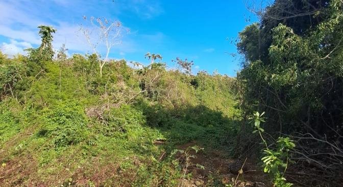 Property – LexpressProperty.com | 749617 | Ref01
