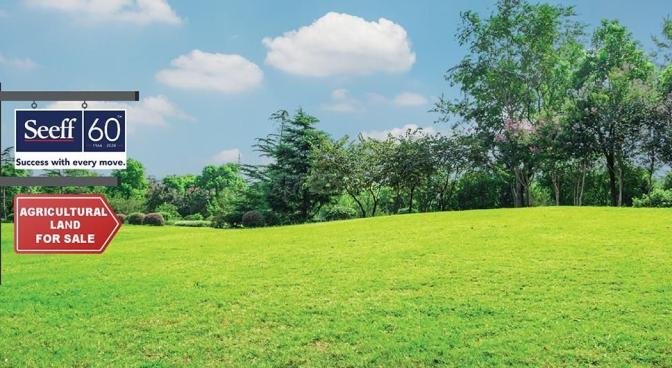 Agricultural land of 44442 m2 for sale in Goodlands, north, Mauritius – LexpressProperty.com | 750132 | Ref01