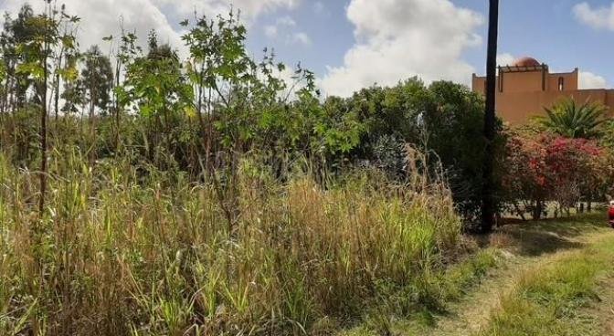 Residential land of 1407 m2 for sale in The Vale, north, Mauritius – LexpressProperty.com | 750603 | Ref01