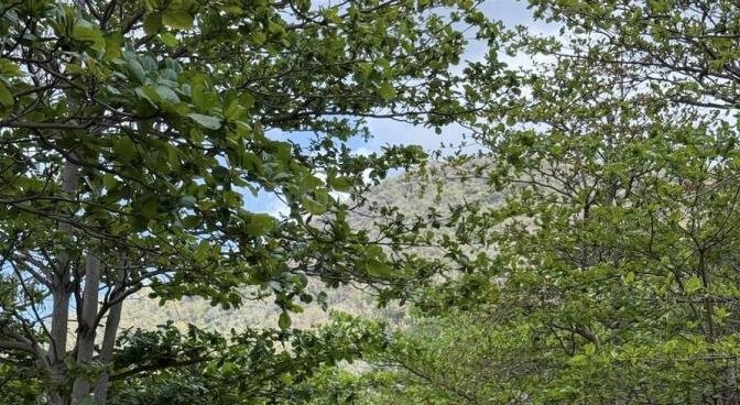 Residential land of 10344 m2 for sale in Black River, west, Mauritius – LexpressProperty.com | 752118 | Ref01