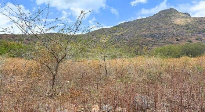 Residential land of 4221 m2 for sale in Tamarin, west, Mauritius – LexpressProperty.com | 753851 | Ref01