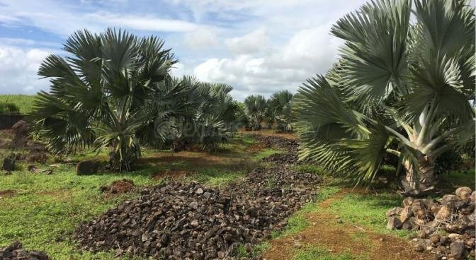 Residential land of 15106 m2 for sale in Phoenix, center, Mauritius – LexpressProperty.com | 754434 | Ref01