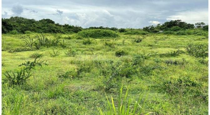 Residential land of 4220.87 m² for sale in Port Louis, north, Mauritius – LexpressProperty.com | 755327 | Ref01