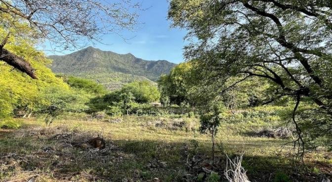 Terrain résidentiel de 1074 m2 en vente à Black River, ouest, île Maurice – LexpressProperty.com | 758665 | Ref01