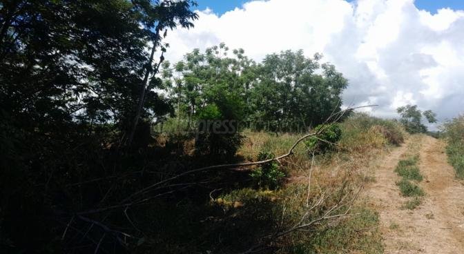 Terrain résidentiel de 56221.9884 m² en vente à Ile d'Ambre, nord, île Maurice – LexpressProperty.com | 761260 | Ref01