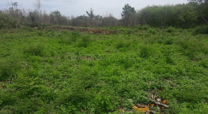 Residential land of 970.8001 m² for sale in Grand Bay, north, Mauritius – LexpressProperty.com | 762602 | Ref01