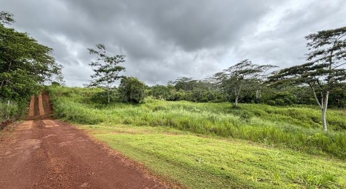 Agricultural land of 4220 m2 for sale in Chamarel, west, Mauritius – LexpressProperty.com | 767176 | Ref01