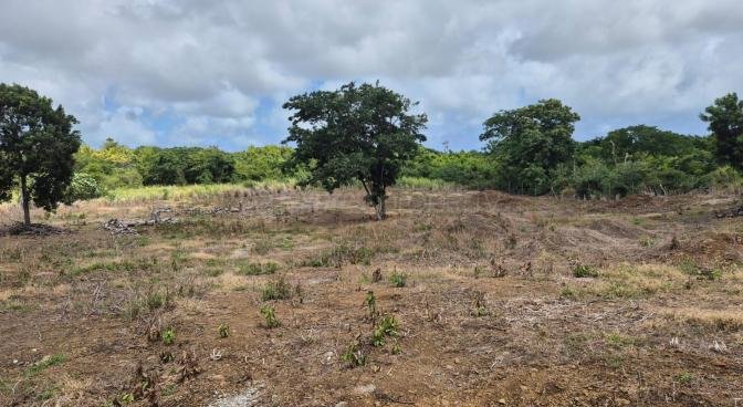 Agricultural land of 5149 m2 for sale in Forêt Daruty, north, Mauritius – LexpressProperty.com | 769465 | Ref01