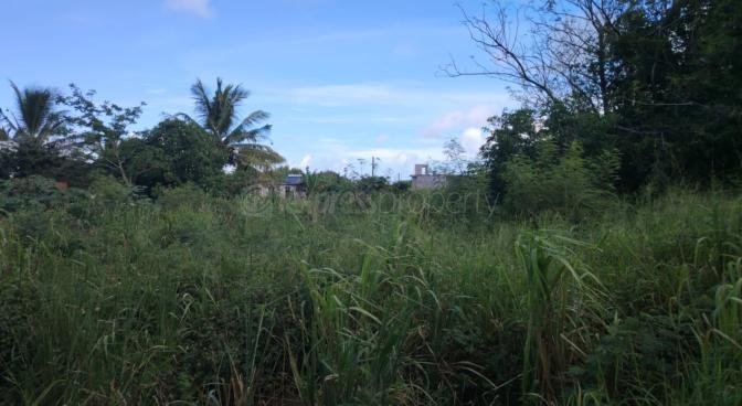 Terrain résidentiel de 1055 m2 en vente à Petit Raffray, nord, île Maurice – LexpressProperty.com | 773444 | Ref01