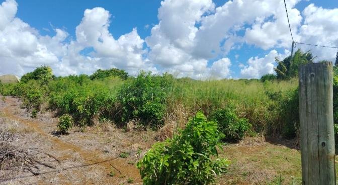 Agricultural land of 1941 m2 for sale in Pamplemousses, north, Mauritius – LexpressProperty.com | 773462 | Ref01