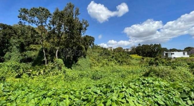 Terrain résidentiel de 4853 m2 en vente à Vacoas, centre, île Maurice – LexpressProperty.com | 700217 | Ref01