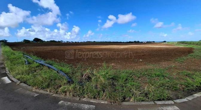 Commercial land of 59092 m2 for sale in Mon Trésor, south, Mauritius – LexpressProperty.com | 700486 | Ref01