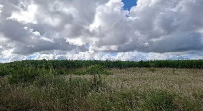 Terrain agricole de 92604 m2 en vente à Plaine Magnien, sud, île Maurice – LexpressProperty.com | 700497 | Ref01