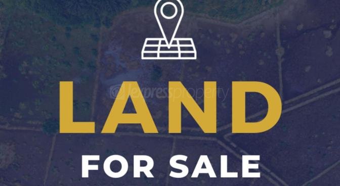 Terrain agricole de 13200.5 m2 en vente à Beau Climat, sud, île Maurice – LexpressProperty.com | 708037 | Ref01