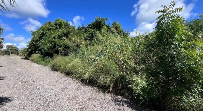 Residential land of 1041 m2 for sale in Grand Gaube, north, Mauritius – LexpressProperty.com | 710532 | Ref01