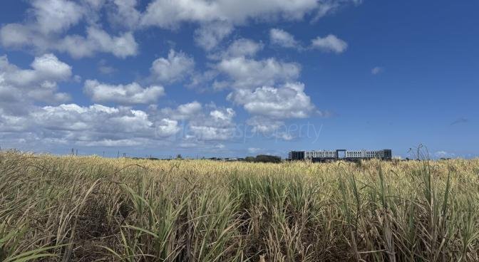 Agricultural land of 33280 m2 for sale in The Vale, north, Mauritius – LexpressProperty.com | 718071 | Ref01
