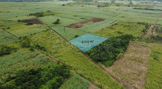Agricultural land of 4205 m2 for sale in Camp Thorel, center, Mauritius – LexpressProperty.com | 730130 | Ref01