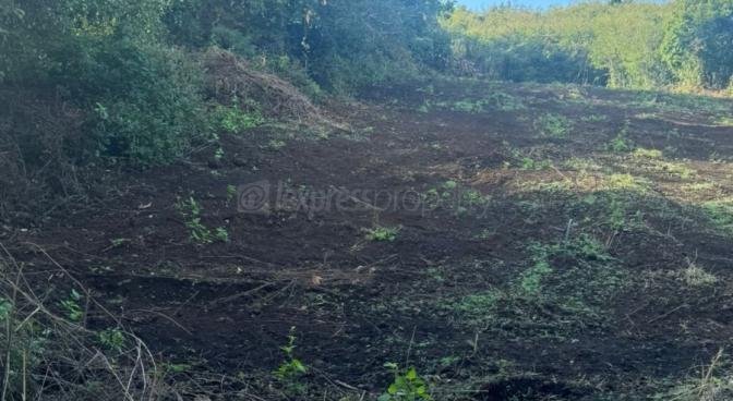 Residential land of 1207 m2 for sale in Grand Gaube, north, Mauritius – LexpressProperty.com | 734725 | Ref01