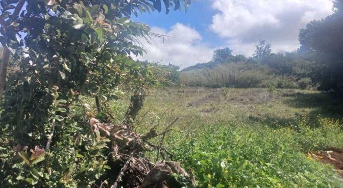 Agricultural land of 2325.5 m2 for sale in Camp Roche, center, Mauritius – LexpressProperty.com | 738707 | Ref01