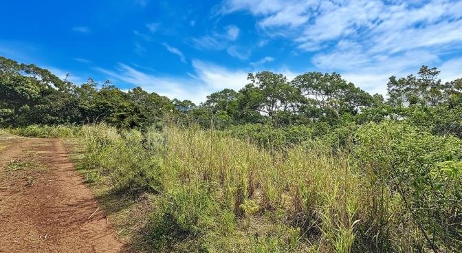Agricultural land of 4221 m2 for sale in Pamplemousses, north, Mauritius – LexpressProperty.com | 738865 | Ref01